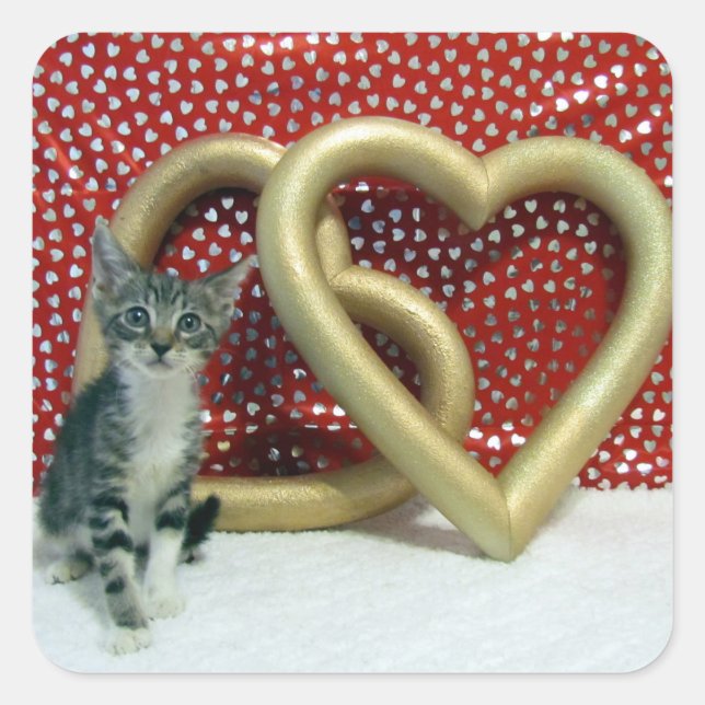 Valentine's Day - Love, Tabitha - cat / kitten Square Sticker (Front)
