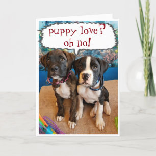 VALENTINE'S DAY **NOT PUPPY LOVE** FOREVER LOVE CARD
