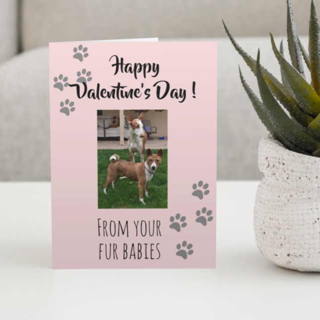 Valentine's Day Photo Dog Cat Pet Fur Babies Card (Creator Uploaded)