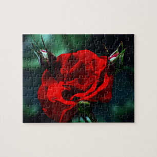 Valentines day red rose jigsaw puzzle