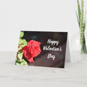 Valentine's Day rose holiday card