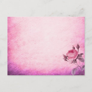 Valentine's day Rose Postcard