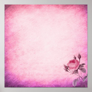 Valentine's day Rose Poster