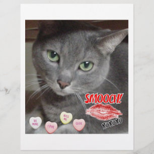 Valentine's Day Russian Blue Grey Cat Flyer