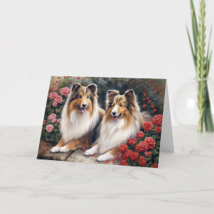 Valentine's Day Sheltie Card