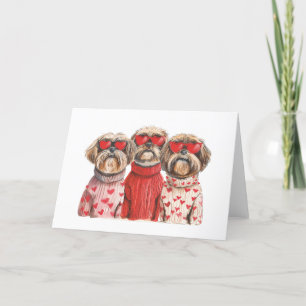 Valentines Day Shih Tzu Dogs Holiday Card
