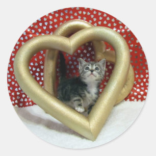 Valentine's Day Stickers Love, Lilo - cat / kitten