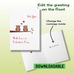 Valentine's Day two cute blue owls Holiday Card