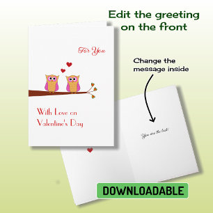 Valentine's Day two cute pink owls Holiday Card