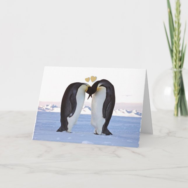 Valentine's Day, Two Penguins in Love, Hearts Holiday Card (Front)