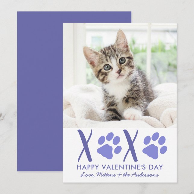 Valentines Day XOXO Cute Kitten Cat Pet Photo Holiday Card (Front/Back)