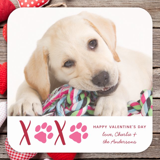 Valentines Day XOXO Cute Pet Puppy Dog Photo Square Sticker (Creator Uploaded)