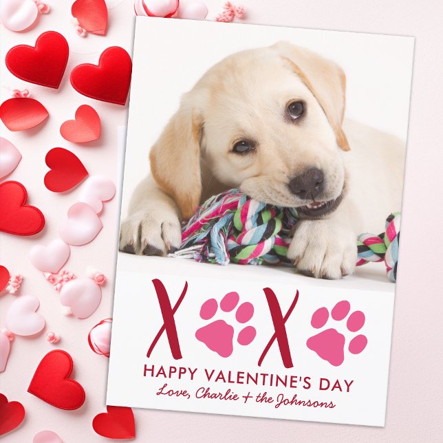 Valentines Day XOXO Cute Puppy Pet Dog Photo Holiday Card (Creator Uploaded)