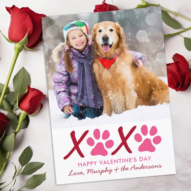 Valentines Day XOXO Modern Puppy Dog Pet Photo Holiday Card (Creator Uploaded)