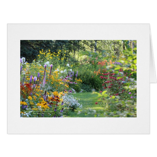 Valentines Gift Certificate (Front Horizontal)