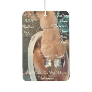 Valentine's Humor Cats Photo Text Car Air Freshener