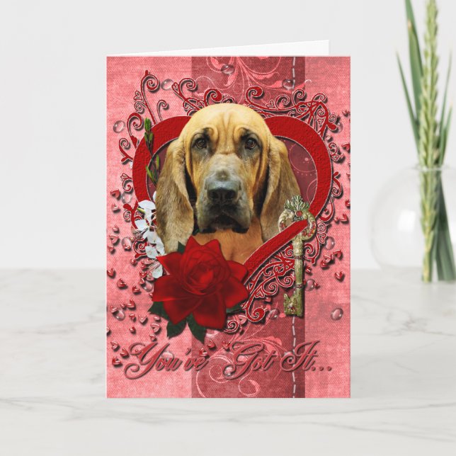 Valentines - Key to My Heart - Bloodhound - Penney Holiday Card (Front)