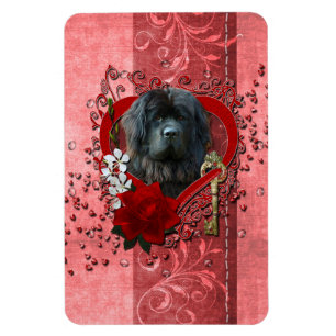 Valentines - Key to My Heart - Newfoundland Magnet