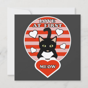 Valentines Love At First Meow Cat Lovers Heart T-S