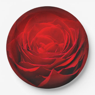 Valentine's Paper Plate-Stunning Painted Red Rose Plate