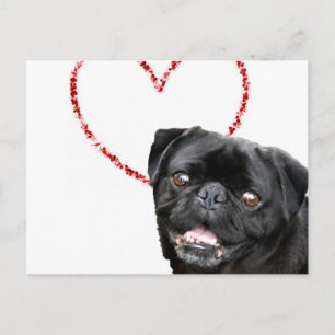 Valentine's pug dog holiday postcard