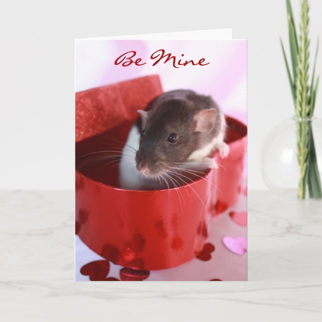 Valentine's Rat Card (Front)