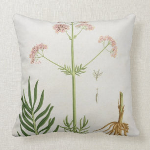Valerian from 'Phytographie Medicale' by Joseph Ro Cushion
