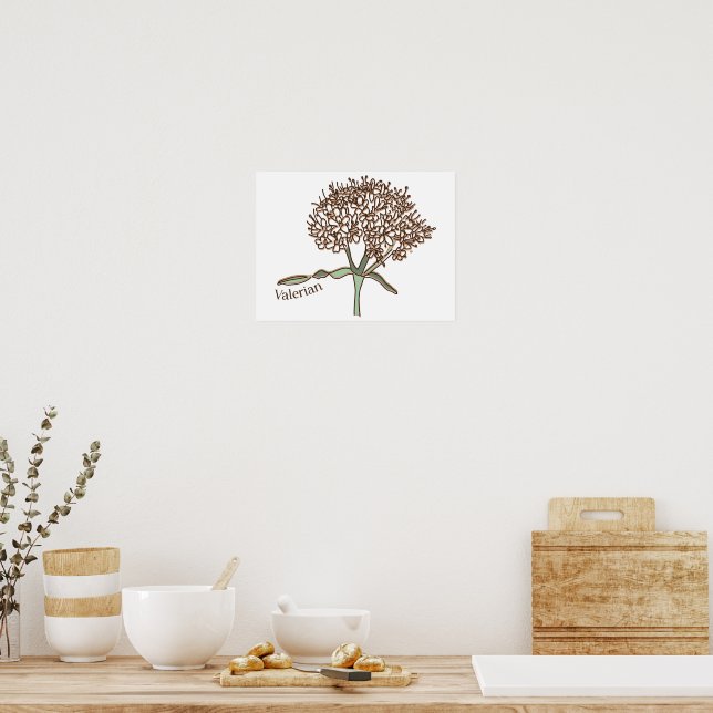 Valerian Poster (Kitchen)