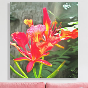 Vallarta Flaming Beauty 1583 Art Canvas Print