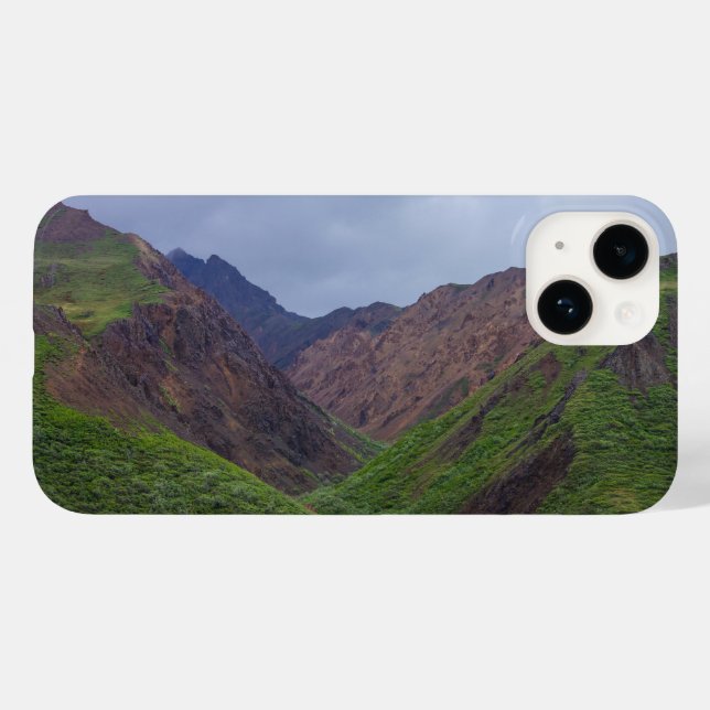 Valley At Denali's Toklat River Case-Mate iPhone Case (Back (Horizontal))