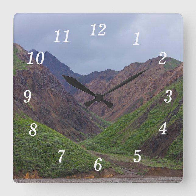 Valley At Denali's Toklat River Wall Clock (Front)