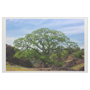 Valley Oak Tree Fabric