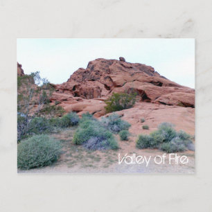 Valley of Fire Postcard