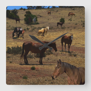 Valley Of The Horses, Square Wall Clock