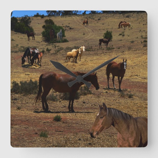 Valley Of The Horses, Square Wall Clock (Front)