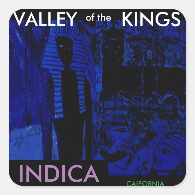 VALLEY OF THE KINGS INDICA SQUARE STICKER (Front)