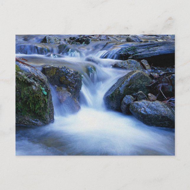 Valley of Water Postcard (Front)