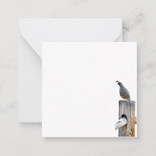 Valley Quail Photo Stationery Flat Note Card