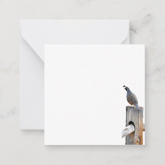 Valley Quail Photo Stationery Flat Note Card (Front)