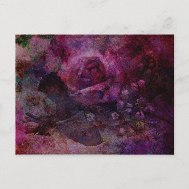 Valley Rose Postcard (Front)
