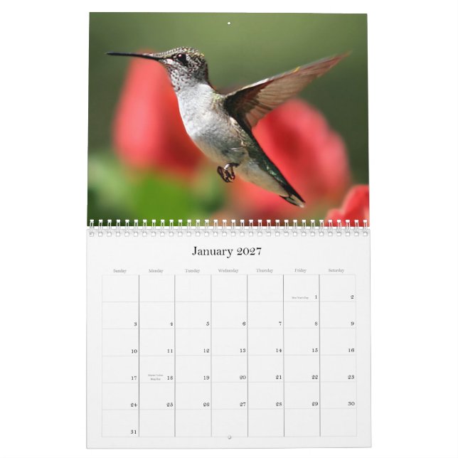 Valley Vision's Calendar (Jan 2027)