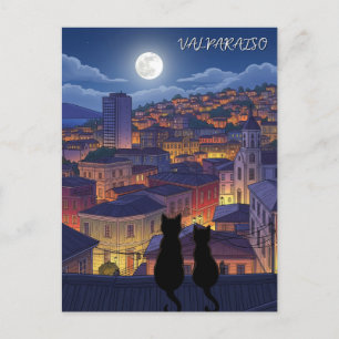 Valparaiso Chile cats at Night Postcard