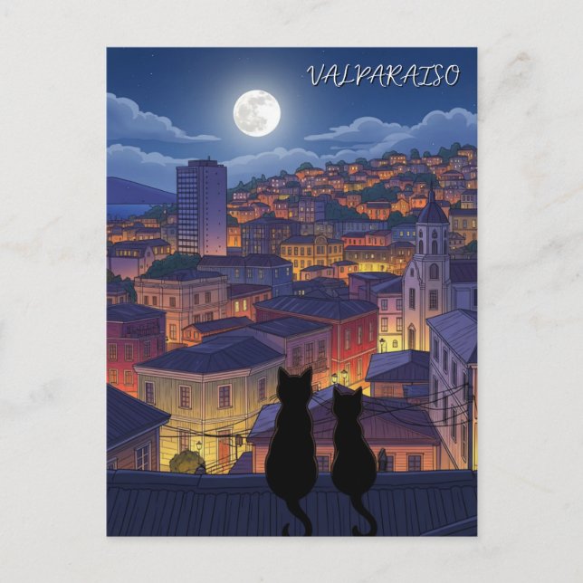 Valparaiso Chile cats at Night Postcard (Front)