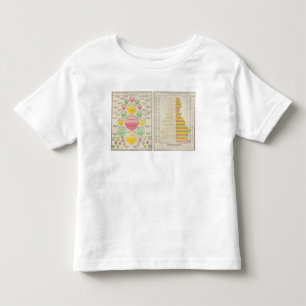 Value of Foreign Commerce, 1890 Toddler T-Shirt