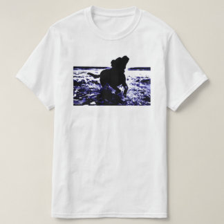 Value t-shirt black lab playing in water