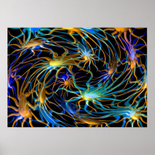 Valxart spiral wheel poster