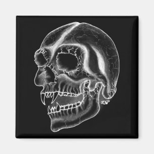 Vampir skull black and white design magnet