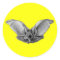 Vampire ? Bat ?