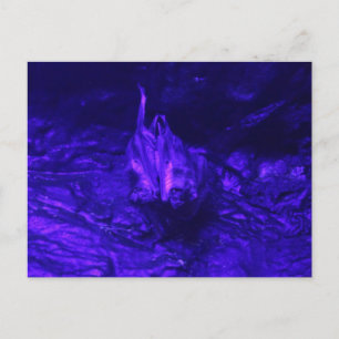 Vampire Bat Postcard