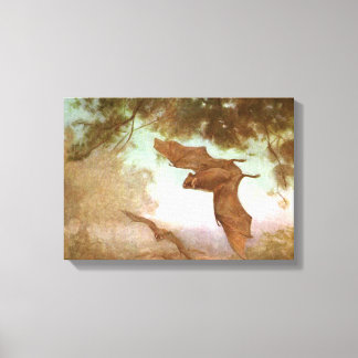 Vampire Bats by CE Swan, Vintage Wild Animals Canvas Print